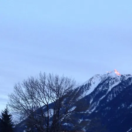 Apartment Haus Panorama