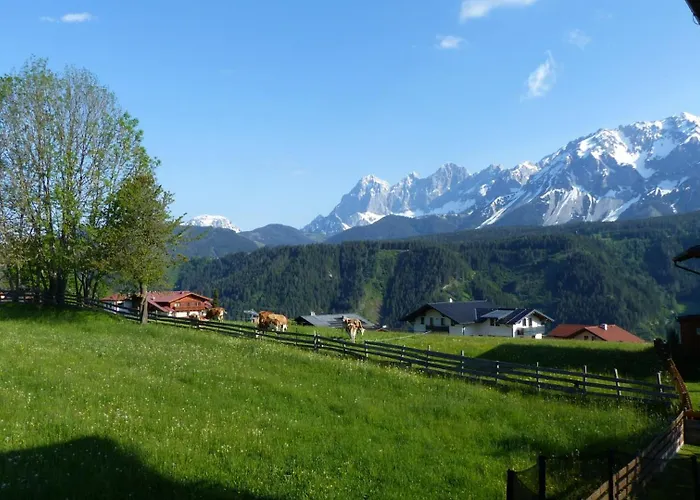 Apartment Haus Panorama *