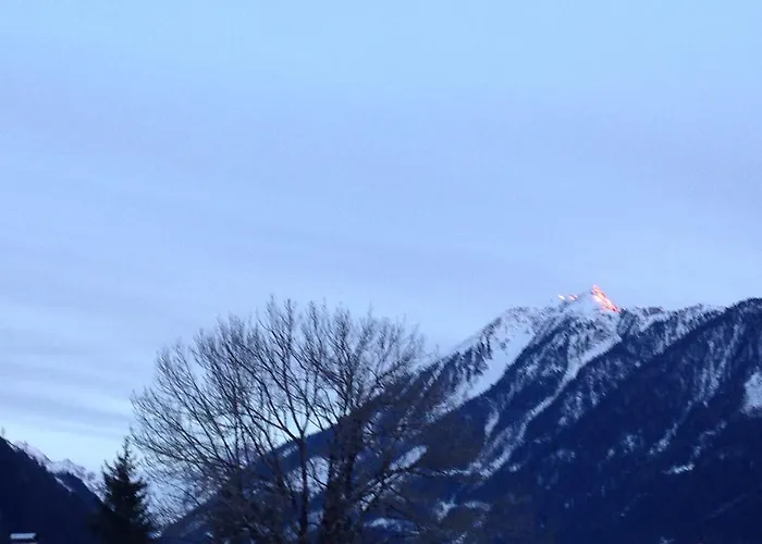 Apartment Haus Panorama